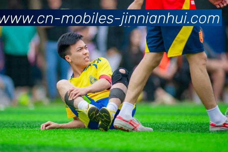 App Interface Preview